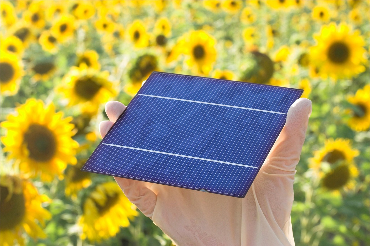 Panel Solar Monocristalino